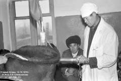 kosem_02