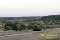 mira_st_115