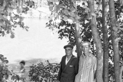 pl_66_28