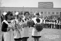 pz19810523_12