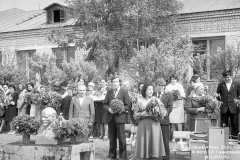 pz19810523_19