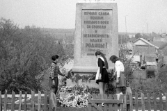 pz19810523_20