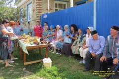 pr_ul_007