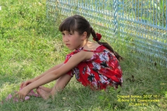 pr_ul_033