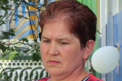 pr_ul_062