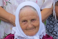 pr_ul_106