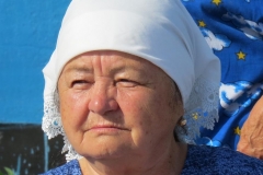 pr_ul_136