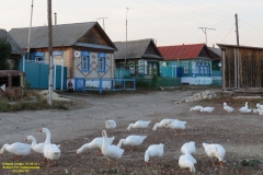 prudnaja_st_14