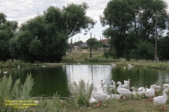 prudnaja_st_37