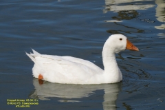 prudnaja_st_44