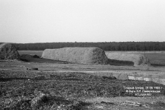 silos_006