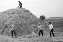 stog1973_01