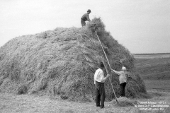 stog1973_02