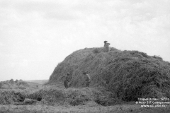 stog1973_03