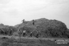 stog1973_04