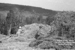 stog1973_07