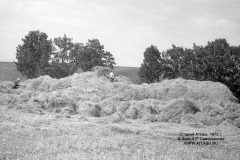 stog1973_10