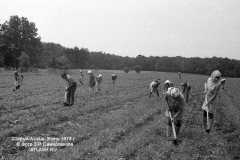 tl1973_01
