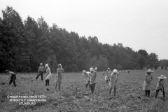 tl1973_03
