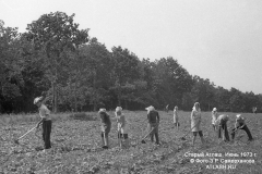 tl1973_04