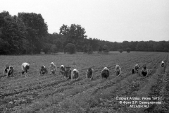 tl1973_05