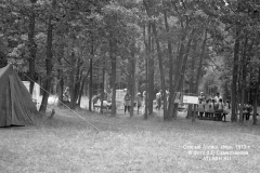 tl1973_11