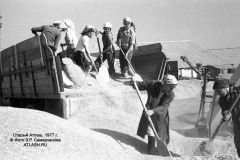 tok1977_06
