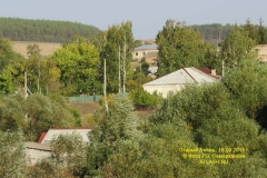 zelenay_st_10